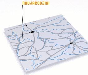 3d view of Naujarodžiai