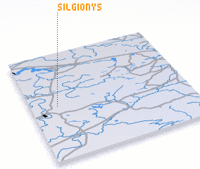 3d view of Silgionys