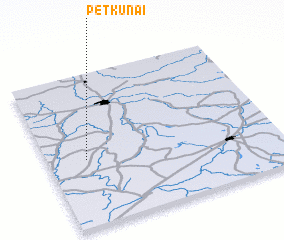 3d view of Petkūnai