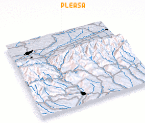 3d view of Pleaşa