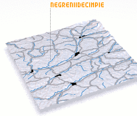 3d view of Negrenii de Cîmpie