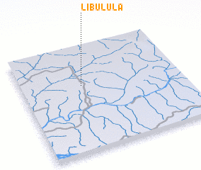 3d view of Libulula
