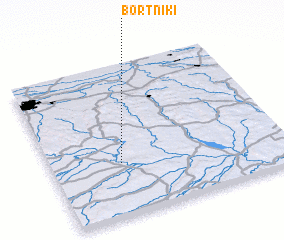 3d view of Bortniki