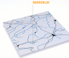 3d view of Novosëlki