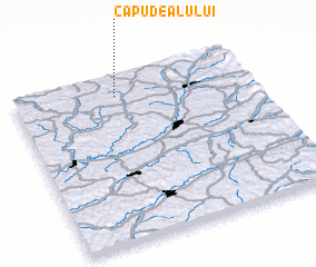 3d view of Capu Dealului