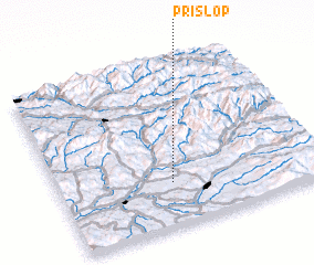 3d view of Prislop