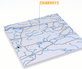 3d view of Žikaronys