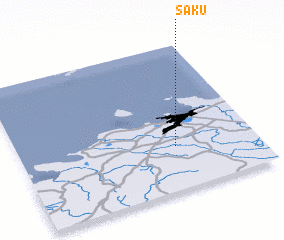 3d view of Saku