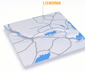 3d view of Lishomwa