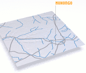 3d view of Muhongo