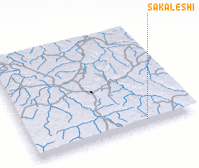 3d view of Sakaleshi