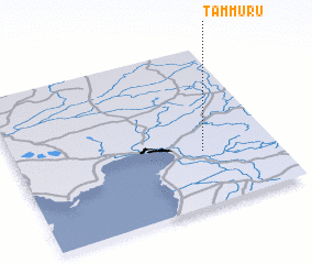 3d view of Tammuru