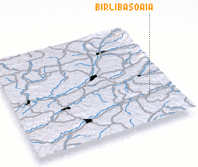 3d view of Bîrlibăşoaia