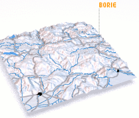 3d view of Borie