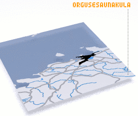 3d view of Orguse-Saunaküla