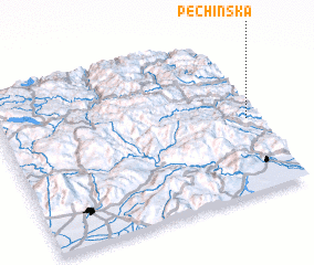 3d view of Pechinska