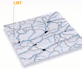 3d view of Linţ