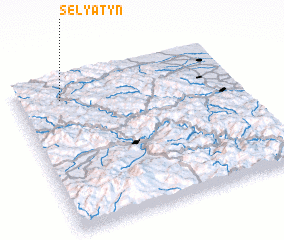 3d view of Selyatyn