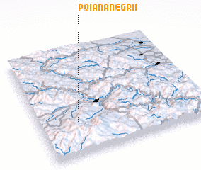 3d view of Poiana Negrii