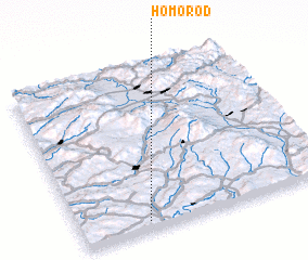 3d view of Homorod