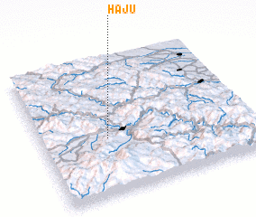 3d view of Haju