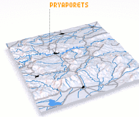 3d view of Pryaporets