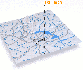 3d view of Tshikopo