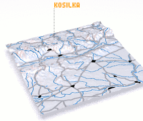 3d view of Kosilka