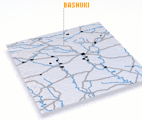 3d view of Bashuki