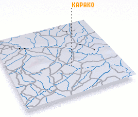 3d view of Kapako