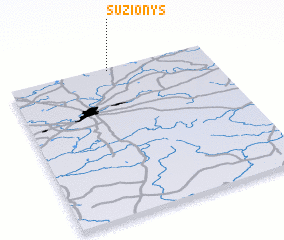 3d view of Sužionys