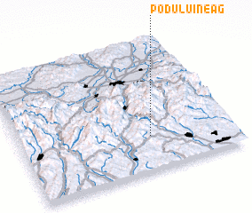 3d view of Podu lui Neag
