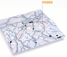 3d view of Poiana