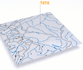 3d view of Toto