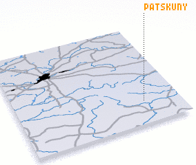 3d view of Patskuny