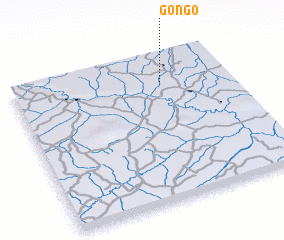 3d view of Gongo