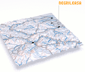 3d view of Negrileasa