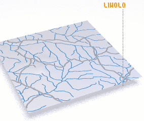 3d view of Liwolo