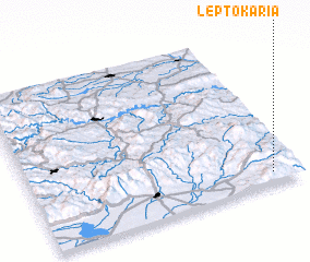 3d view of Leptokariá