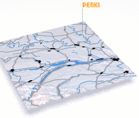 3d view of Penʼki