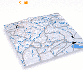 3d view of Slon