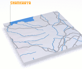 3d view of Shankwaya