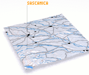 3d view of Sasca Mică