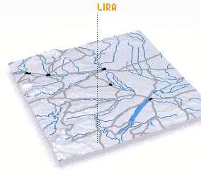 3d view of Líra