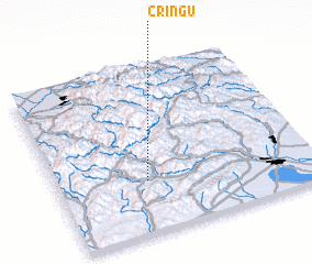 3d view of Crîngu