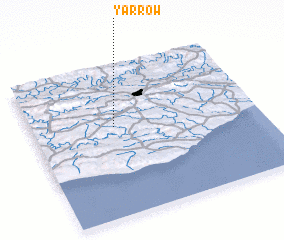3d view of Yarrow