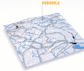 3d view of Podurile