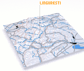 3d view of Lingureşti