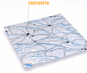 3d view of Sauceniţa