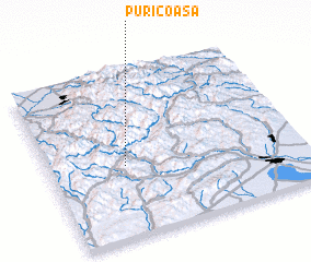 3d view of Puricoasa